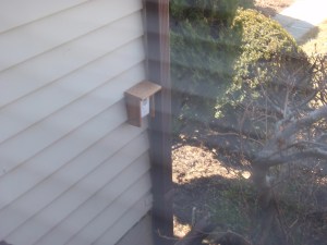 A Home for the Outdoor Thermometer