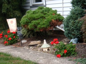 Kitty, surrounded by many things, October 2009