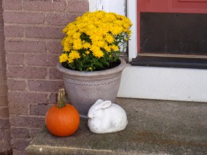 Rabbit, Pennsylvania, October 2009