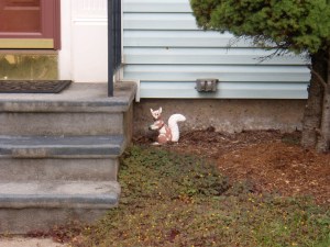 Squirrel, Pennsylvania, October 2009