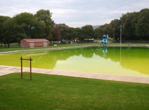 Pool, September 2009. No more swimming. The cartoon characters are gone.