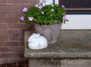 I like this rabbit, but the little creature is becoming more and more wraithlike. Is the rabbit crossing over to the other side? July 2010.