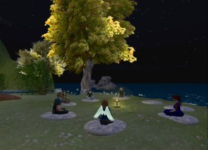 Meditation during the Second Life night, Guild of Healers retreat. Second Life, December 2009.