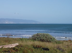 Drakes Beach, Point Reyes National Seashore, California. March 2006