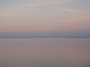 Palo Alto Baylands Preserve, California. Look closely. November 2008.