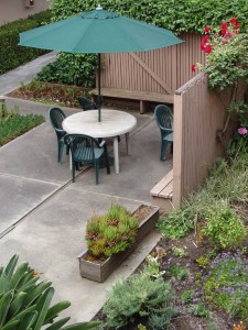 View, garden and courtyard, May 2004