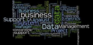 Word cloud of my resume, generated by wordle, June 2014